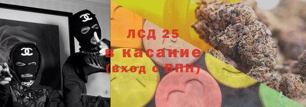гашик Козельск