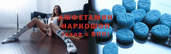 стаф Козловка