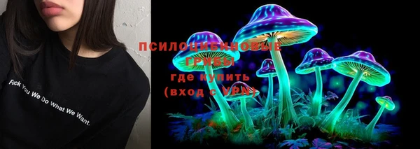 mdpv Кодинск