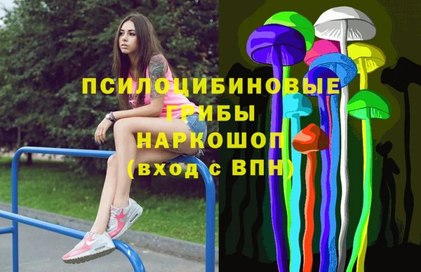гашик Козельск