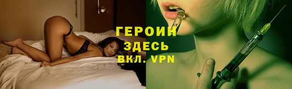 гашик Козельск