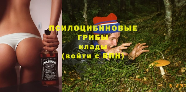 mdpv Кодинск