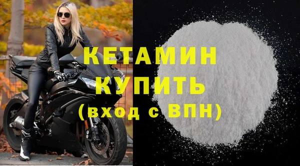 стаф Козловка