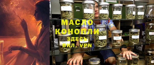 гашик Козельск