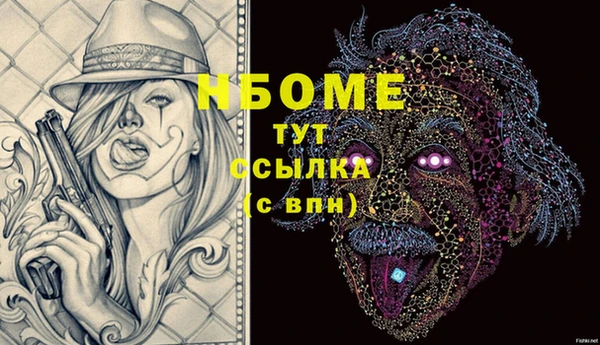 стаф Козловка