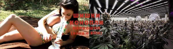 mdpv Кодинск