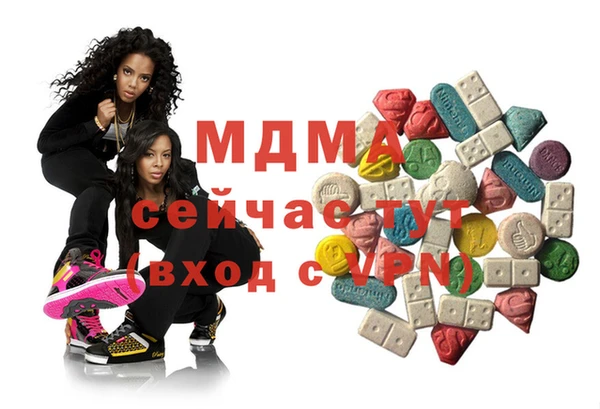 стаф Козловка
