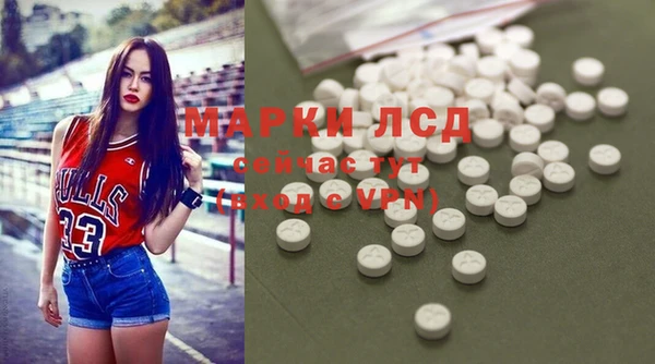 гашик Козельск