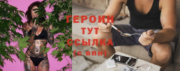 гашик Козельск