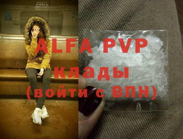 гашик Козельск