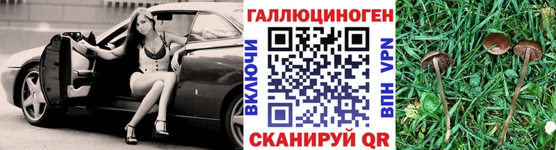 Галлюциногенные грибы Cubensis  Купить  Весьегонск 